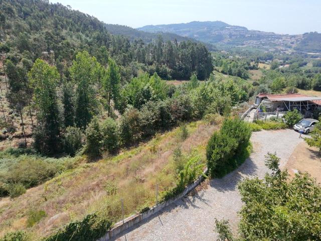 Terreno, Atães e Rendufe