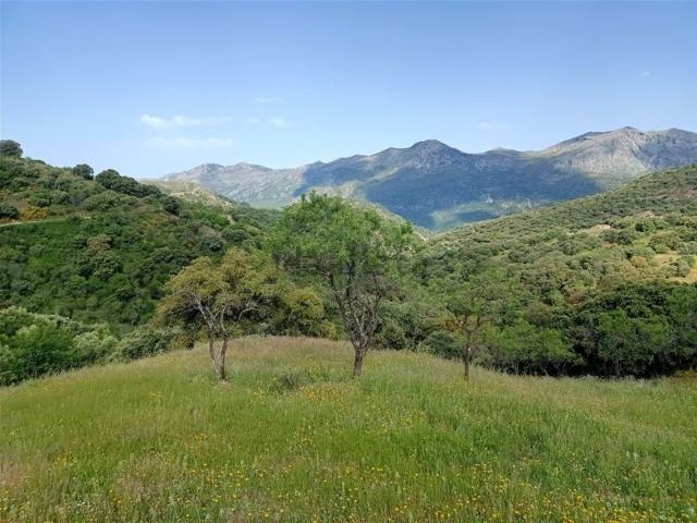 Terreno, Atajate