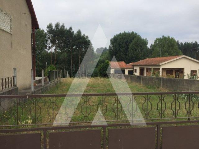 Terreno, Avelãs de Caminho