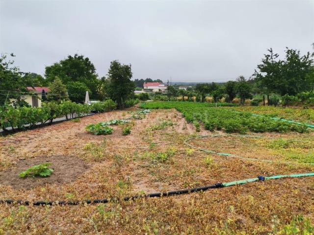Terreno, Avelal, Sátão | BPI Expresso Imobiliário