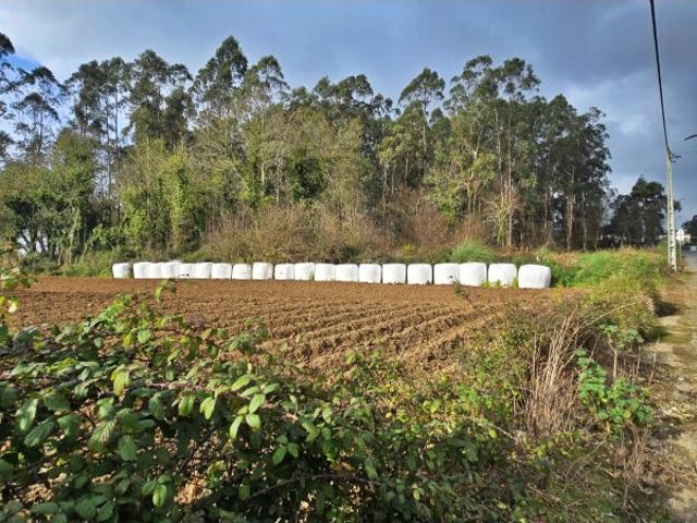 Terreno, Aveleda, Vila do Conde | BPI Expresso Imobiliário