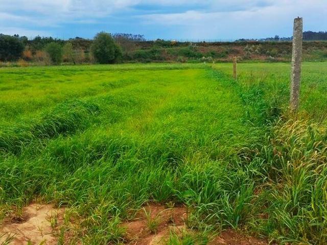 Terreno, Aveleda, Vila do Conde | BPI Expresso Imobiliário
