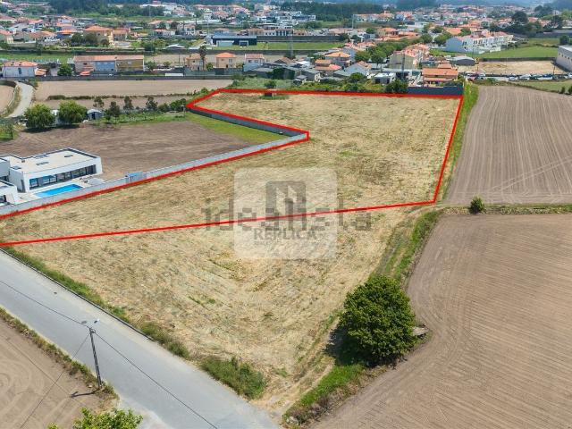 Terreno, Amorim