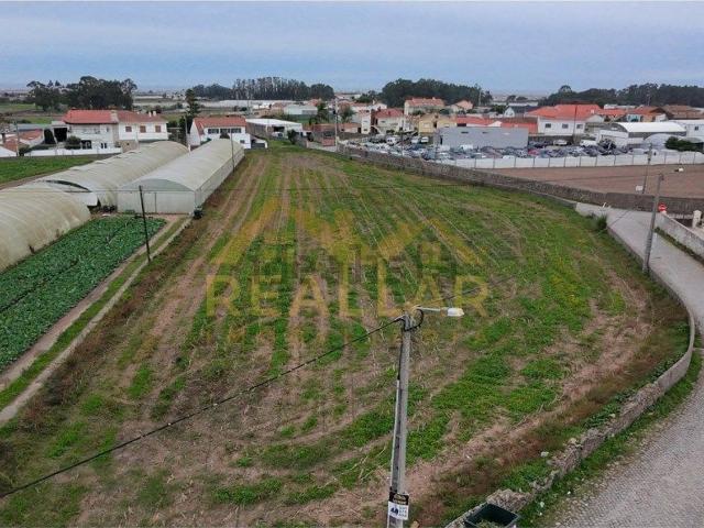 Terreno, Terroso
