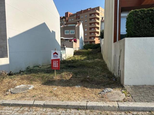 Terreno, Avintes