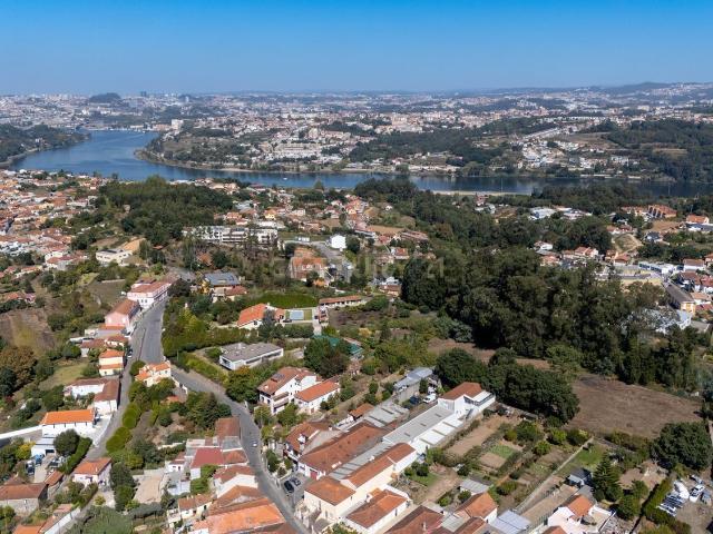 Terreno, Avintes