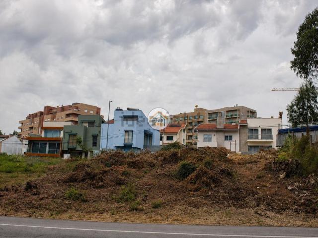 Terreno, Avintes