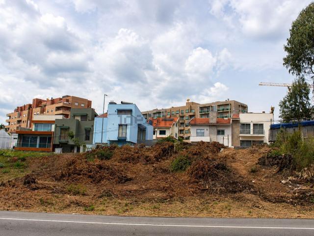 Terreno, Avintes