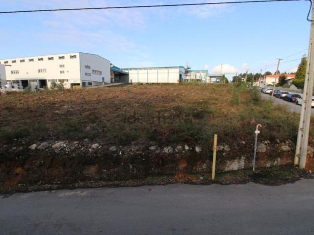 Terreno, Avintes