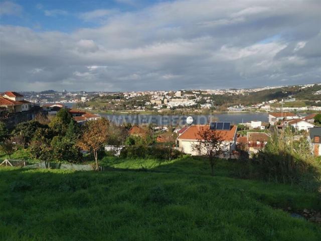 Terreno, Avintes