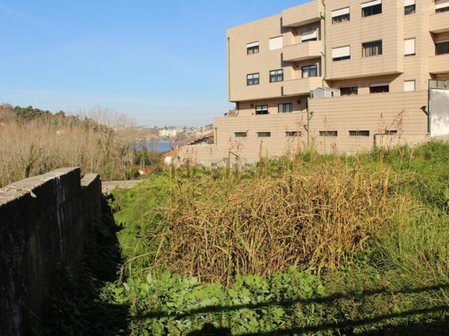 Terreno, Avintes