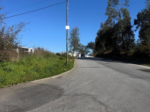 Terreno, Avintes