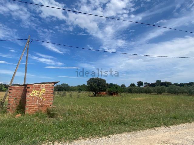 Terreno, Avinyonet de Puigventos