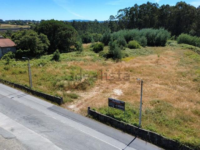 Terreno, Avidos