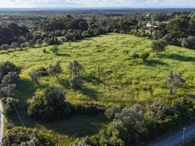 Terreno, Azeitão