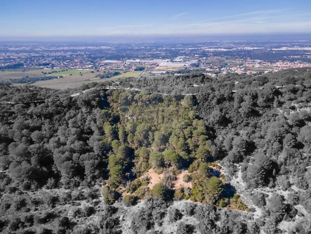 Terreno, Azeitão