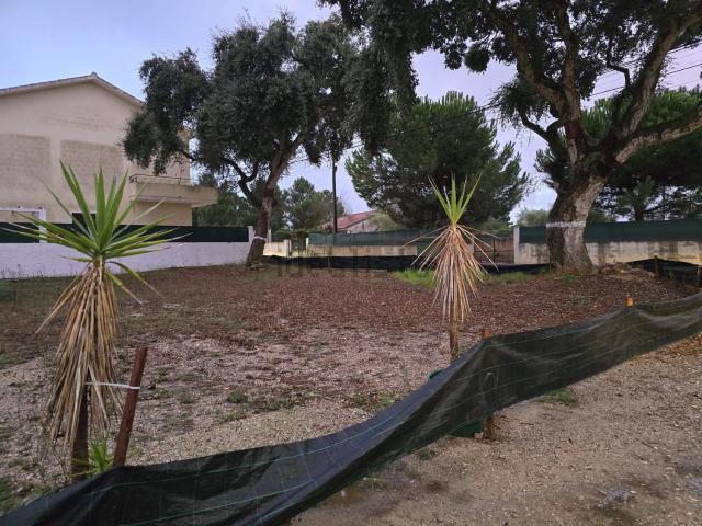 Terreno, Azeitão
