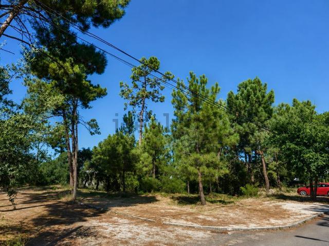 Terreno, Azeitão