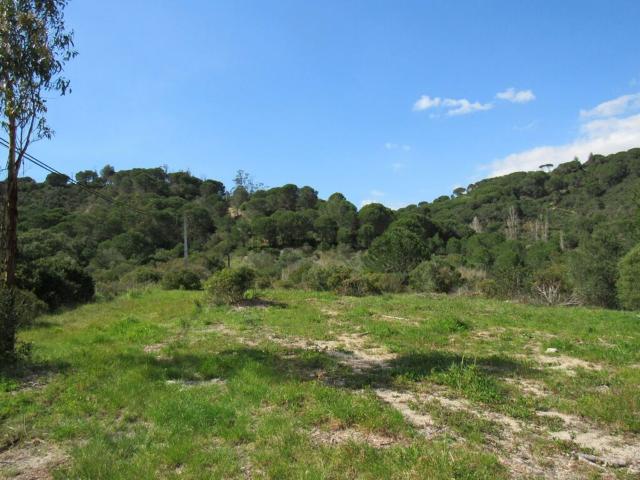 Terreno, Azeitão