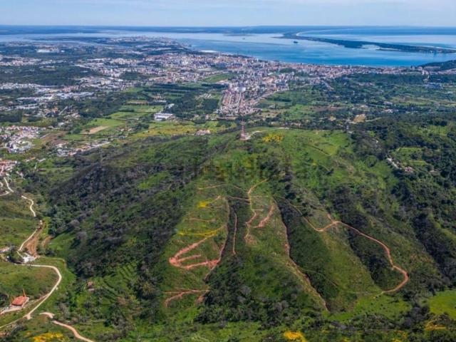 Terreno, Azeitão