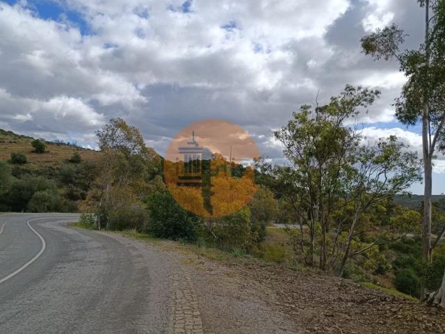 Terreno, Azinhal