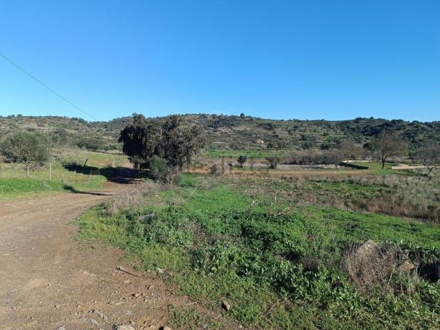 Terreno, Azinhal