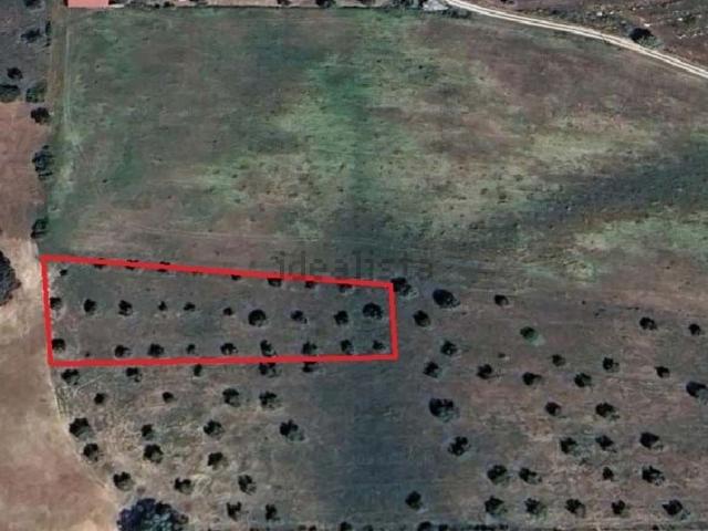 Terreno, Azoia de Cima e Tremês