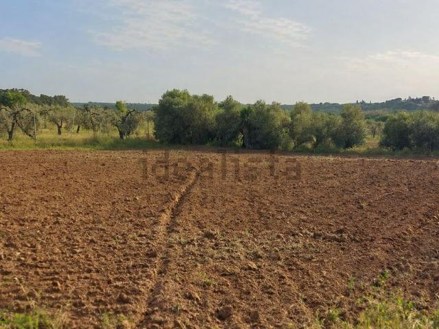 Terreno, Aznalcazar