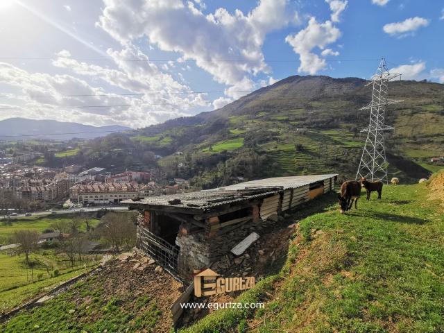 Terreno, Azpeitia