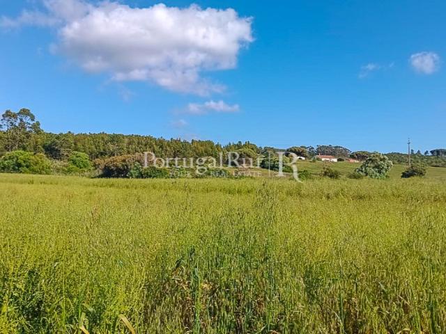 Terreno com 10.500 m² a 5 minutos das Praias Costa Vicentina, Algarve