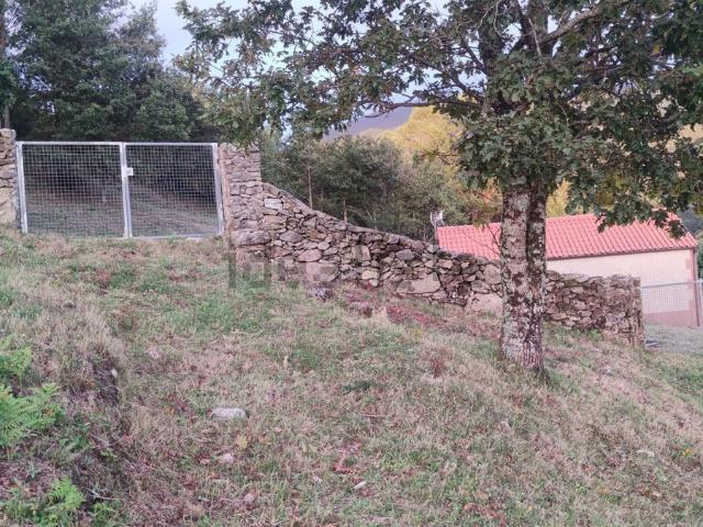 Terreno, A Cañiza