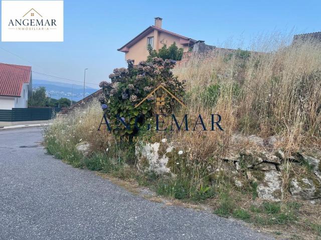 Terreno, A Guarda