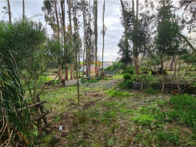 Terreno, A dos Cunhados e Maceira, Torres Vedras | BPI Expresso Imobiliário