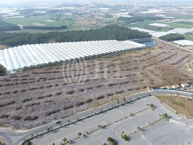 Terreno, A Dos Cunhados e Maceira, Torres Vedras | BPI Expresso Imobiliário
