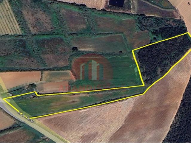 Terreno, A Dos Cunhados e Maceira, Torres Vedras | BPI Expresso Imobiliário