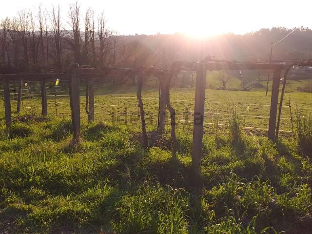 Terreno, A Estrada