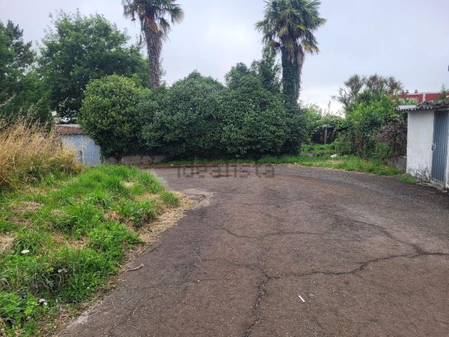 Terreno, A Estrada