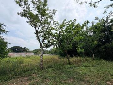 TERRENO A ORILLA DEL RÍO COTAXTLA | LA BOCANA, MEDELLÍN DE BRAVO, VERACRUZ