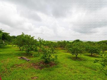 Terreno a la venta en El Chico, Veracruz con vista a la laguna