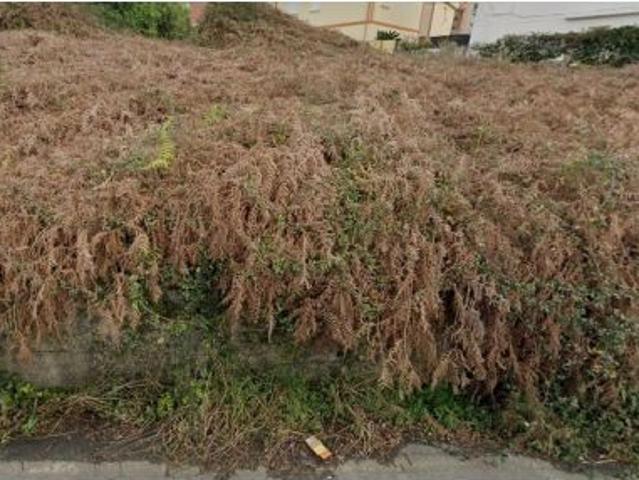 Terreno a la venta en Lavadores, Vigo