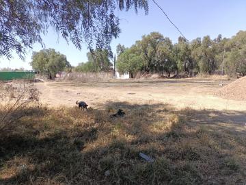 TERRENO A LA VENTA EN PUEBLO DE AMAJAC, CHIAUTLA