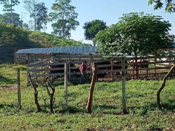 Terreno a la Venta en Yurimaguas