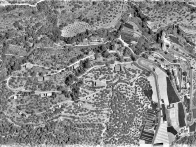 Appartamento a Montalto Uffugo Rif. 24445