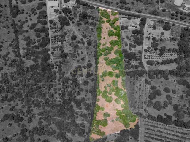 Terreno a um passo da Vila de São Bartolomeu de Messines