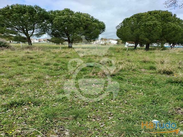 Terreno à venda 0,5ha em Évora | 26083920243
