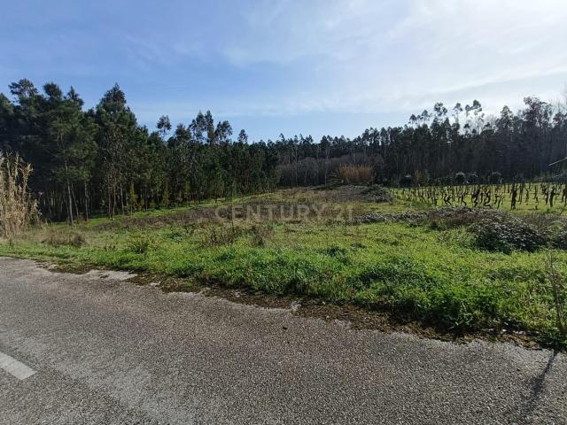 Terreno à Venda 1900m²