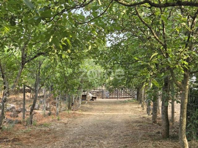 Terreno à venda Coimbra, Portugal
