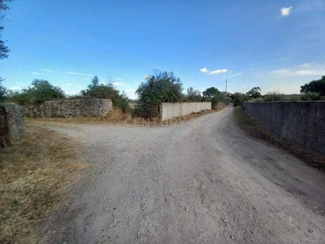 Terreno à Venda com Vista Panorâmica em Local Tranquilo, Póvoa de Rio de Moinhos, Castelo Branco