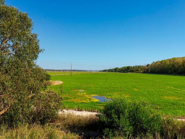 Terreno à venda Comporta, Portugal