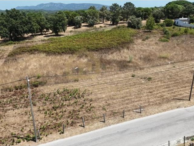 Terreno à venda Charneca da Cotovia, Sesimbra, Setúbal